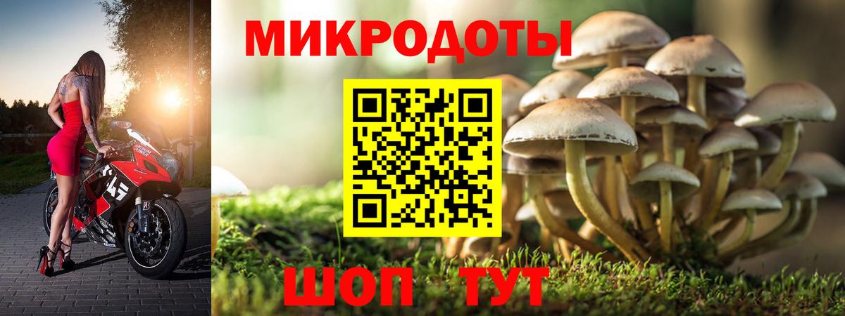 Барабинск  Галлюциногенные грибы мухоморы  Вход с VPN 