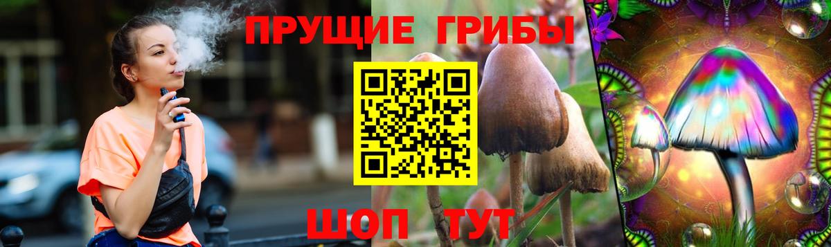 Галлюциногенные грибы Psilocybe Барабинск